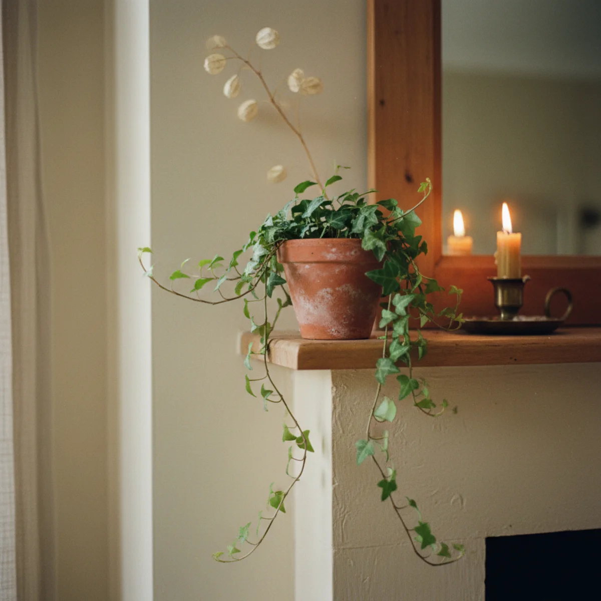 Autumn mantel ideas — dried bittersweet vine with orange berries trailing off one end of a wooden mantel with 12 inches of overhang softening the rectangular mantel lines during autumn — Home Decor Aura